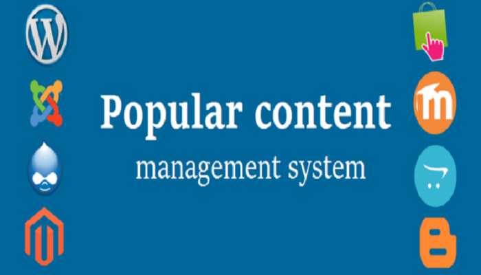 Top Content Management System Every Business Owners Should Know