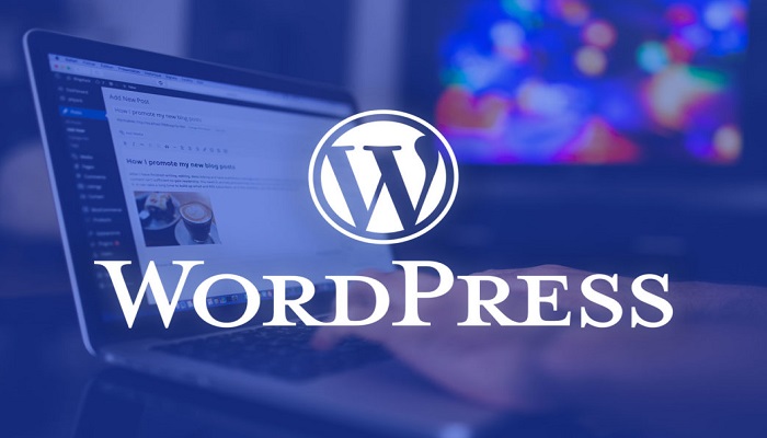 appealing wordpress blog